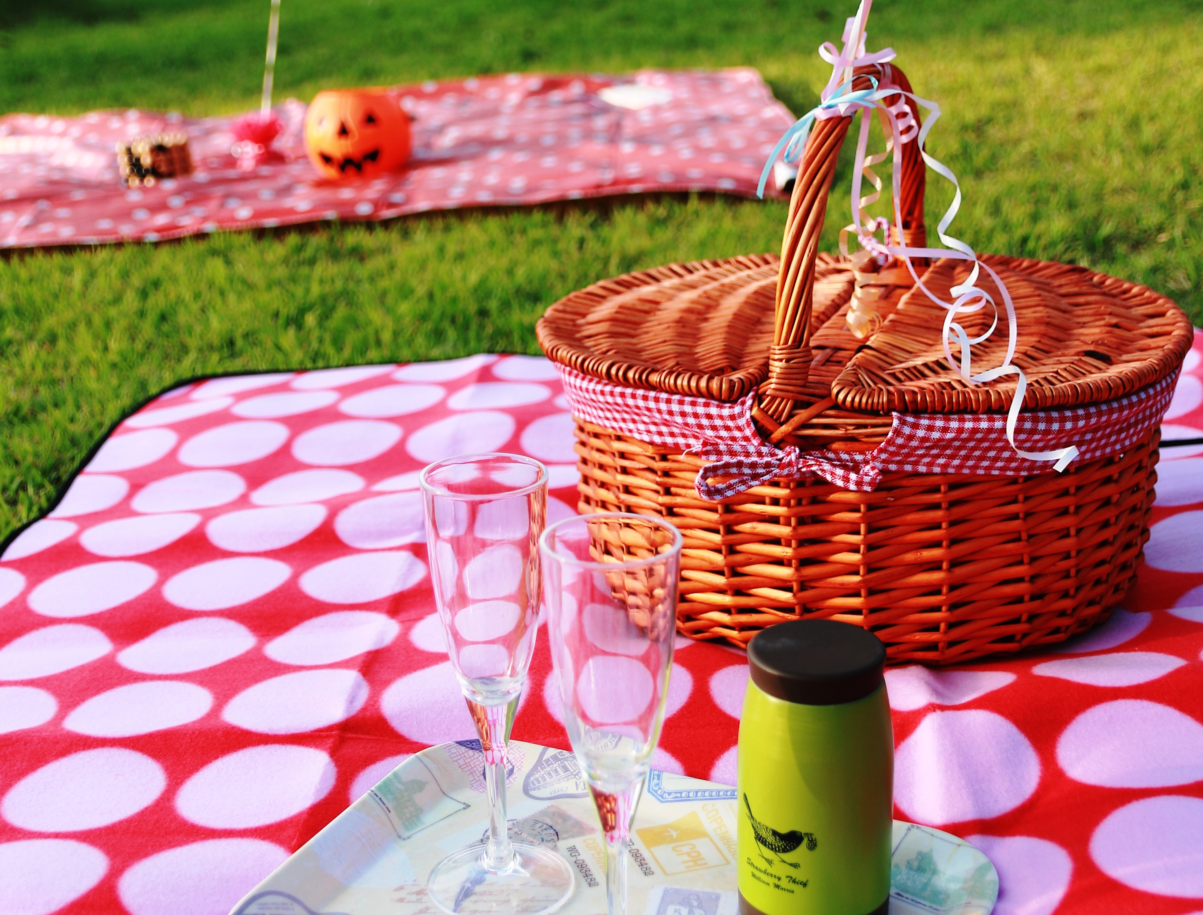 「もっと手軽にピクニックを！」住民が仕掛ける公園まちづくり＠松山