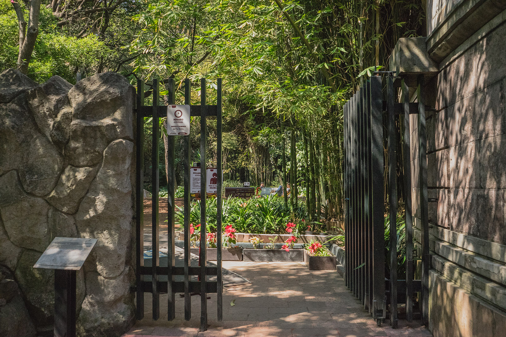 屋外で音楽が楽しめる！ メキシコシティの公園は「音」もデザイン