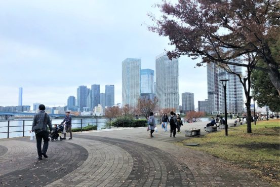 49115199188_876d63a644_b